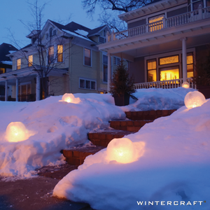 https://www.wintercraft.com/cdn/shop/products/Wintercraft-ice_-lanterns-globes-up-steps_472bb5a2-0e45-466a-99f4-b16f1ebbb944_300x.png?v=1603908193